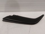 Trim Bezel, LH